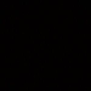 Meet your Posher, Royce